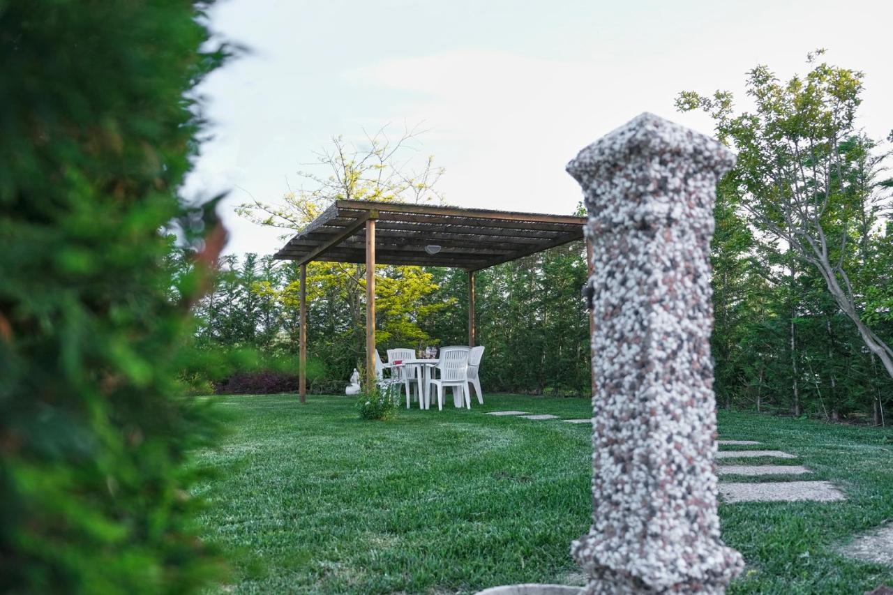 Agriturismo Da Rosy Codevigo Exterior photo